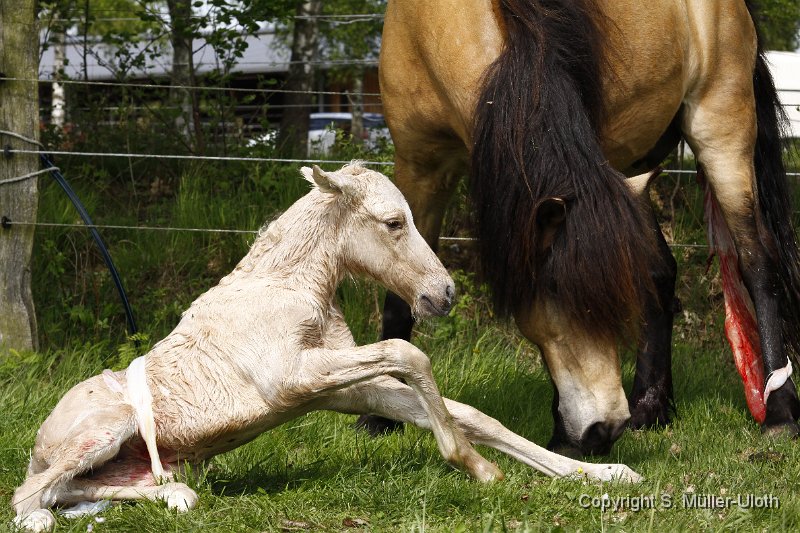Hjoerdis 12 Min alt (13).JPG